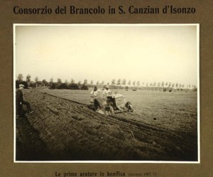 Prime arature meccaniche dopo la bonifica in località "Paludo Serrato" a Staranzano, 1927